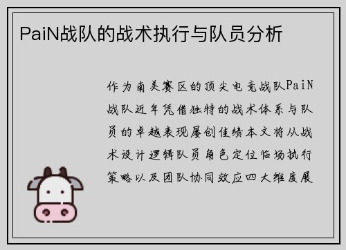 PaiN战队的战术执行与队员分析